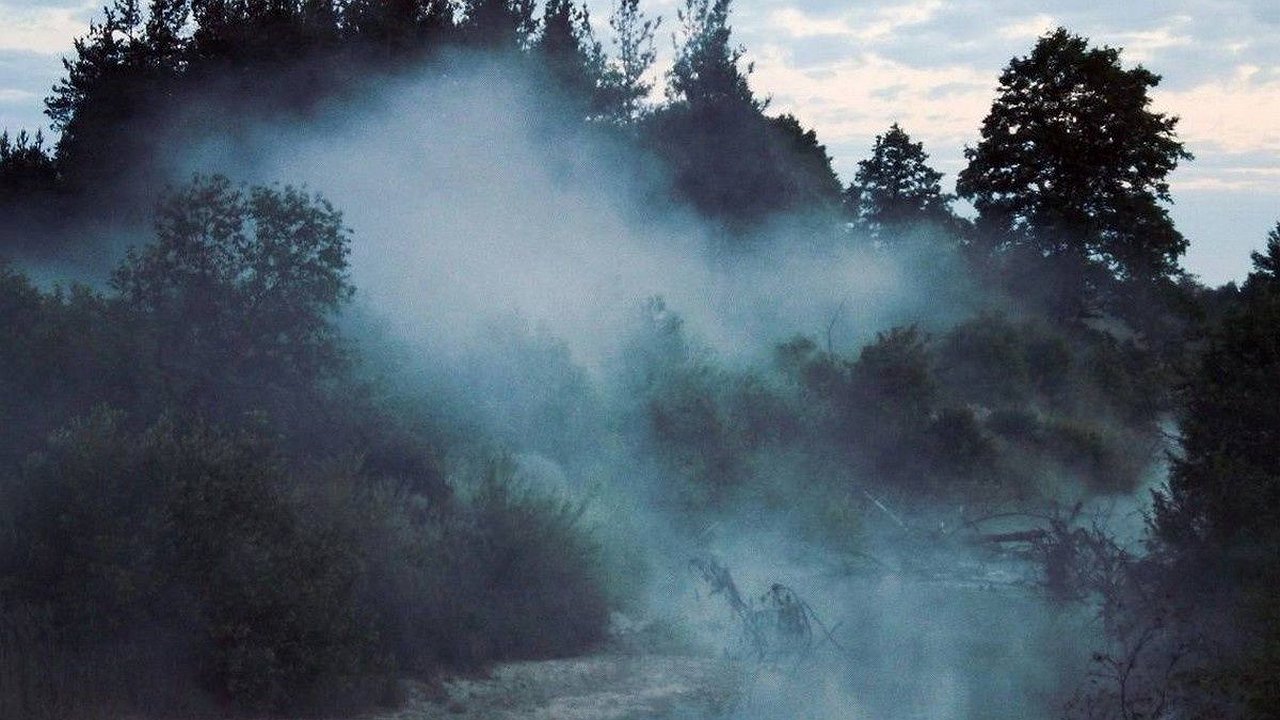 Главная картинка новости: Три пожара площадью в 50 га произошло в нижегородских лесах 28 сентября