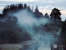 Три пожара площадью в 50 га произошло в нижегородских лесах 28 сентября