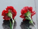 Скончался бывший замгубернатора Нижегородской области Александр Косариков