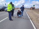 Ремонт дороги в Перевозском округе завершился раньше на четыре месяца 