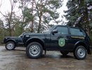 15 ДТП с животными зарегистрировано в Нижегородской области с начала года 