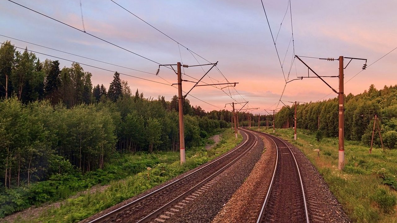Главная картинка новости: Машинист поезда спас детей от страшной гибели в Нижегородской области