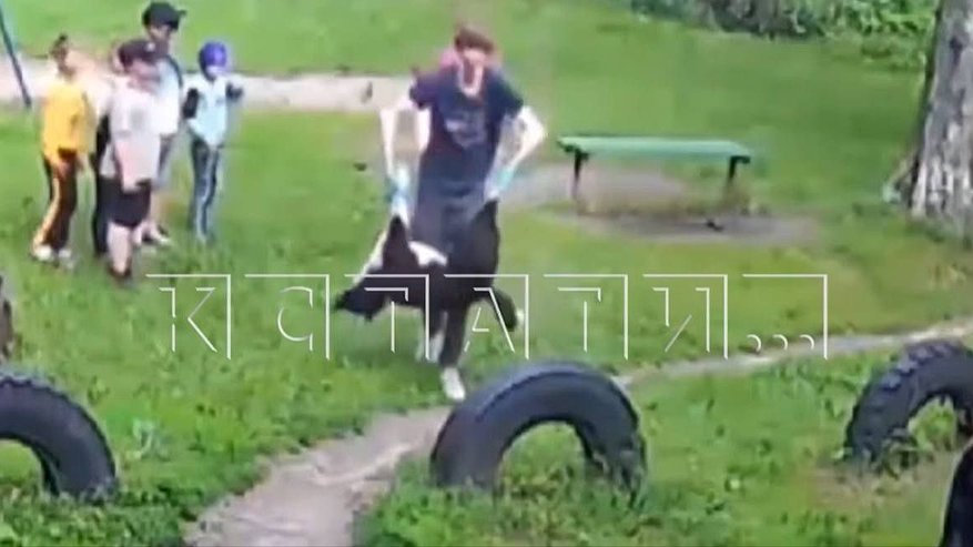 Главная картинка новости: Служба отлова застрелила собаку на глазах у детей в Нижегородской области