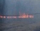 Деревья и трава полыхают в нижегородском ЖК «Окский берег»