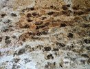 57% нижегородцев считают ужасной борьбу с гололедом во дворах