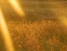 Похолодание до +4°C придет в Нижний Новгород в выходные