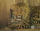 Нижегородский зоопарк «Лимпопо» перейдет на зимний режим с 15 октября
