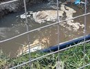 Нижегородцы жалуются на вонь из-за ямы в Автозаводском районе