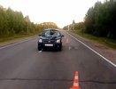 Водитель иномарки пострадал в ДТП с лосем в Городецком округе