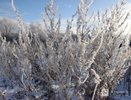 Похолодание до -7°С придет на этой неделе в Нижний Новгород
