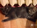 Отопление пока не планируют включать в Нижнем Новгороде