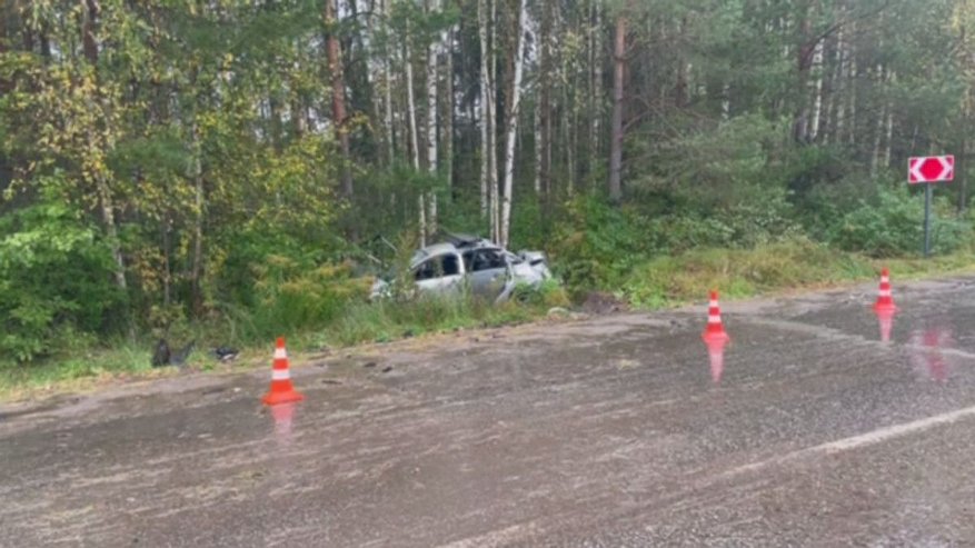 Главная картинка новости: Водитель погиб в вылетевшем в кювет автомобиле в Городецком округе
