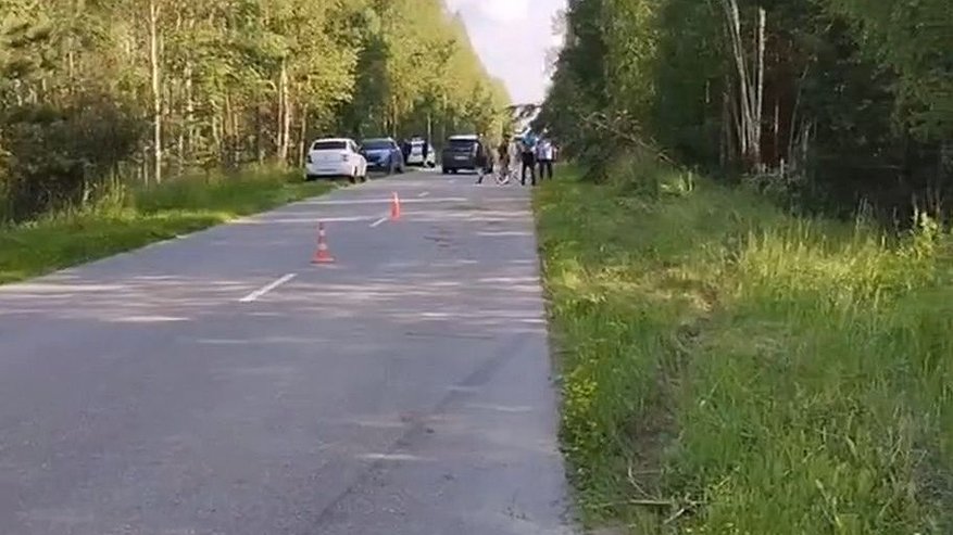 Главная картинка новости: Водитель иномарки погиб в кювете у дороги в Вознесенском округе