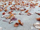 Стало известно, когда в Нижний Новгород придет потепление 