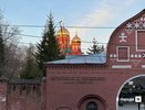 Смертность вдвое превысила рождаемость в Нижегородской области