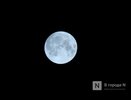 «Голубую Луну» смогут увидеть нижегородцы 19 августа