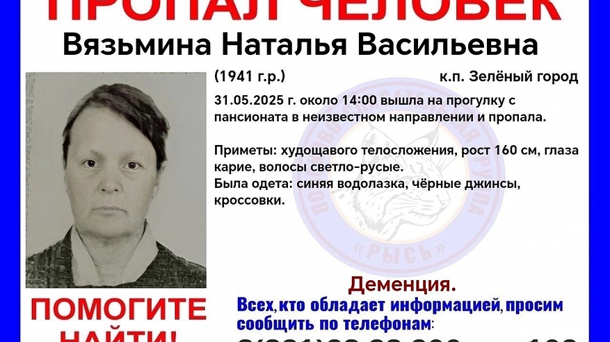 Главная картинка новости: 83-летняя нижегородка с деменцией пропала в Зеленом городе