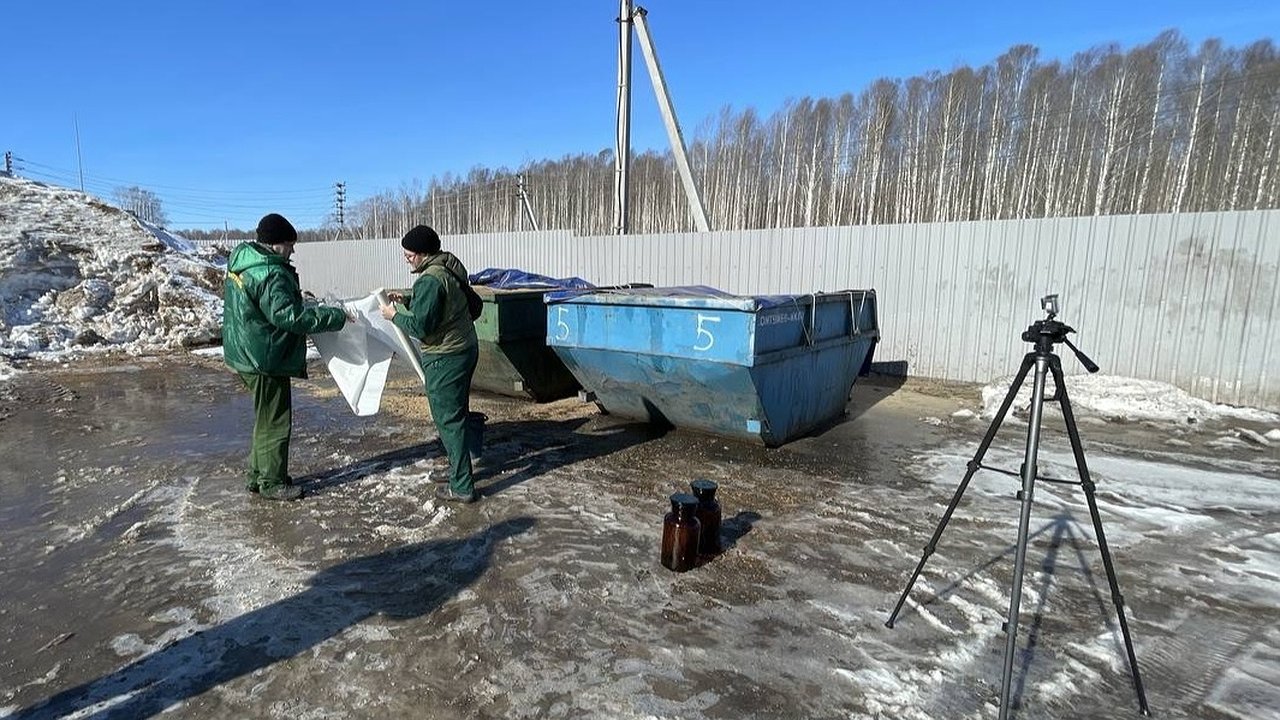 Главная картинка новости: Большемурашкинский свинокомплекс оштрафуют за многочисленные нарушения