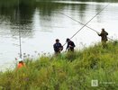 Более 100 кг рыбы смогут выловить нижегородцы в фонтане парка