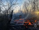 Четыре строения сгорели из-за поджога в СНТ в Нижегородской области