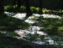Парк имени 1 Мая снова затопило в Нижнем Новгороде
