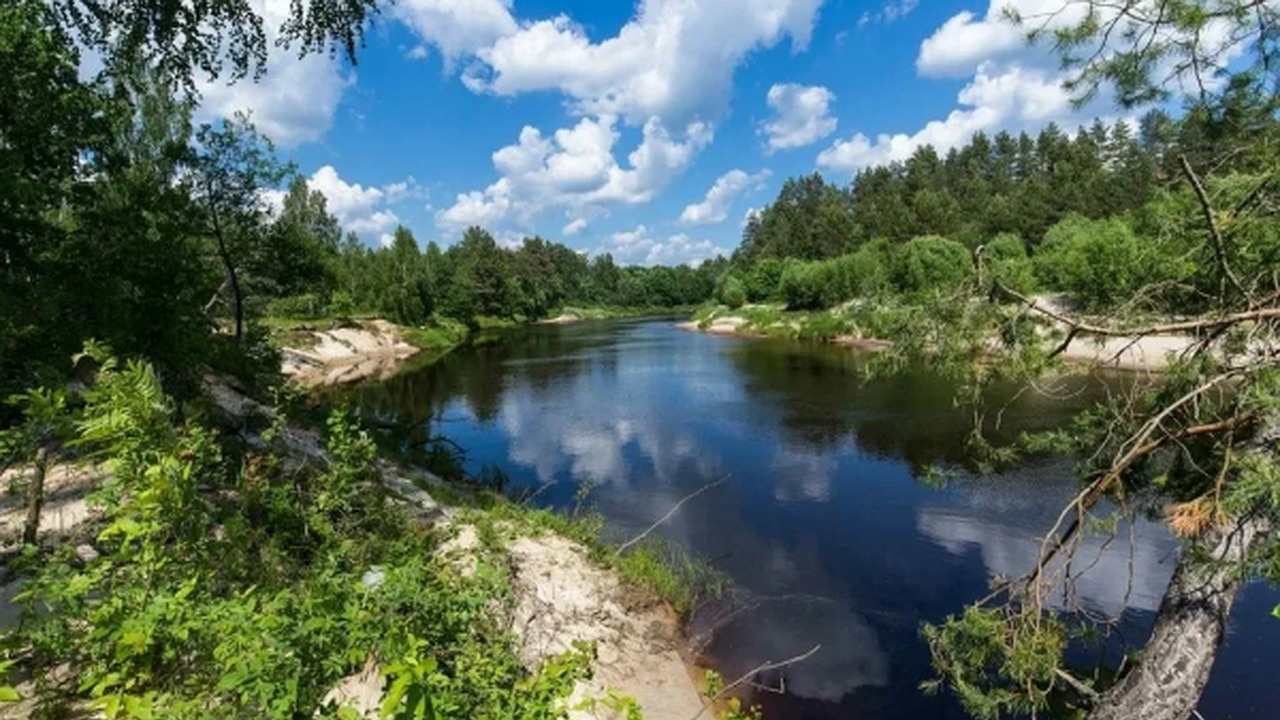 Главная картинка новости: Создание заповедника "Керженский"