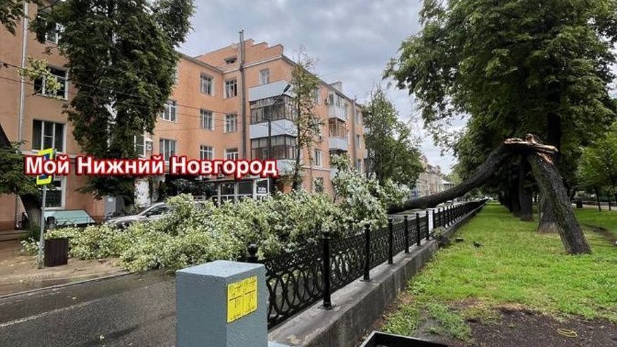 Главная картинка новости: Улицу Звездинку перекрыли в Нижнем Новгороде из-за упавшего дерева