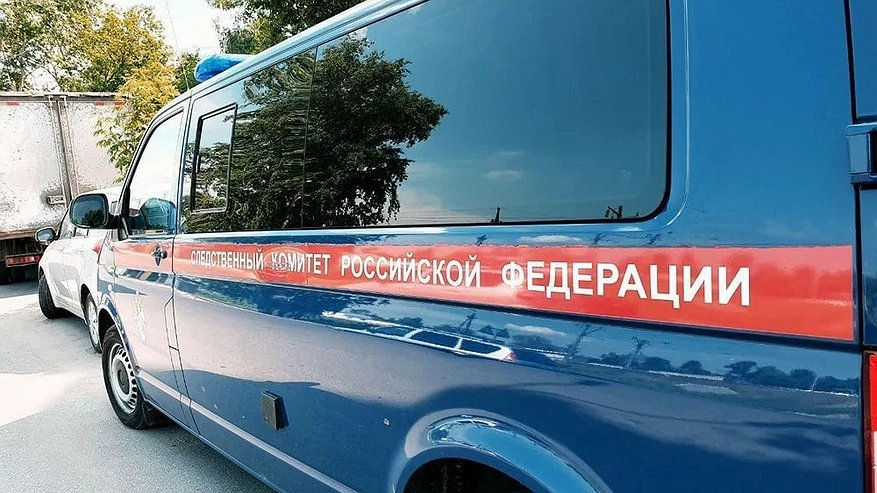 Главная картинка новости: Бастрыкин потребовал доклад после отравления детей газом в Нижнем Новгороде