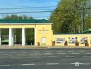13 пар молодоженов расписались в нижегородской «Швейцарии»