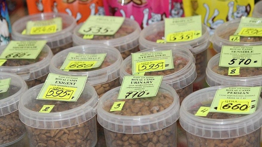 Главная картинка новости: Нижегородская компания решила продавать собачий корм под видом еды для людей