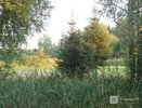 Влияние восточного обхода Нижнего Новгорода на природу оценят к концу года