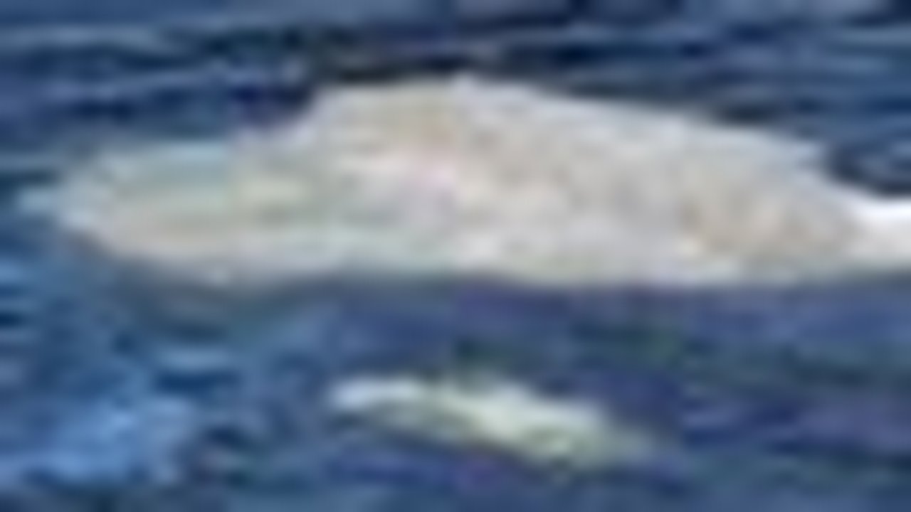 Главная картинка новости: Ледоход начался на Оке и Волге в Нижнем Новгороде