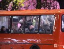 Автобусный маршрут А-31 заработал в Нижнем Новгороде вместо Т-31