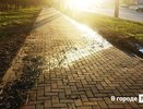 Власти займутся ликвидацией вонючего ручья на улице Бринского