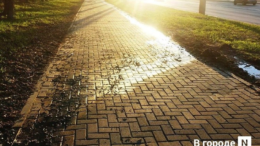 Главная картинка новости: Власти займутся ликвидацией вонючего ручья на улице Бринского