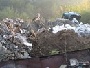 Гигантскую свалку обнаружили на сельхозучастке в Нижегородской области