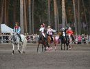 В Дзержинске отпраздновали День лошади