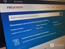 Нижегородцы в марте стали чаще пользоваться Госуслугами