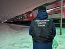 Мужчина погиб под колесами поезда в Нижегородской области
