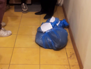 Еще одну квартиру с мертвыми котятами обнаружили в Нижнем Новгороде