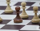 Площадка для игры в шахматы открылась в нижегородской «Швейцарии»
