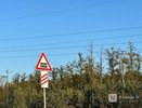 Движение на ж/д переезде у Петряевки ограничат в конце апреля