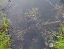 Труп мужчины извлекли из водоема в Нижегородской области