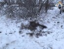 Браконьеров осудят за убийство двух лосей в Нижегородской области