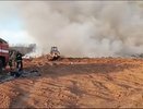 37 единиц техники тушат мусорный полигон в Городецком округе