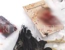 Нижегородка совершает кровавые жертвоприношения в парке Кулибина