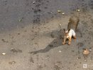 Фоторепортаж: золотая осень в Нижнем Новгороде