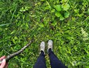 Нижегородцы расстроены отсутствием грибов в лесу после дождей