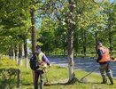 Сезон летнего ухода за зелеными насаждениями начался в Дзержинске