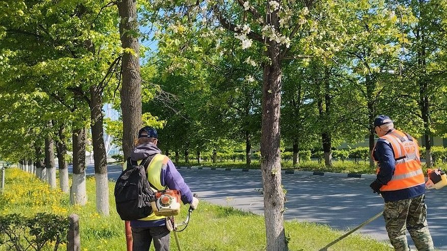 Главная картинка новости: Сезон летнего ухода за зелеными насаждениями начался в Дзержинске